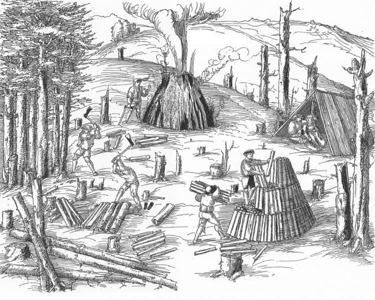 Holzkohlegewinnung und Waldverwüstung  in den Vogesen im 16. Jahrhundert